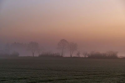 Scenic view of field against sky during sunset