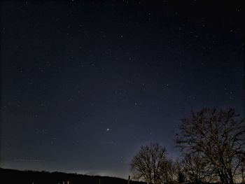 Low angle view of silhouette trees against sky at night