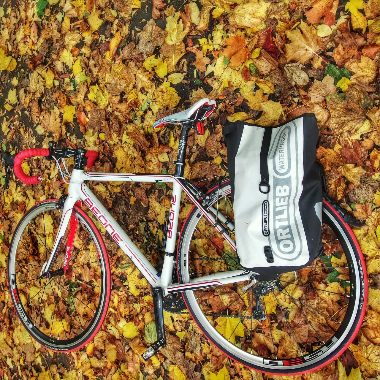 autumn, change, leaf, high angle view, bicycle, yellow, day, outdoors, season, fallen, shoe, nature, no people, dry, park - man made space, plant, metal, grass, field, orange color