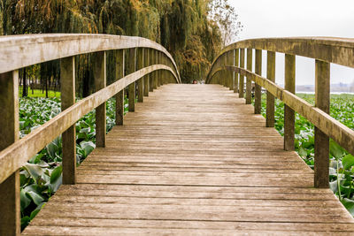 Wooden footbridge along trees