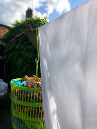 White fabric drying on clothesline by clothespins in container