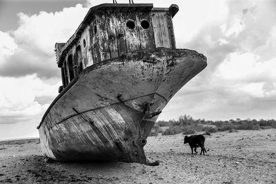 While gme flies, a lone value investor assesses the intrinsic value of a grounded aral sea ship