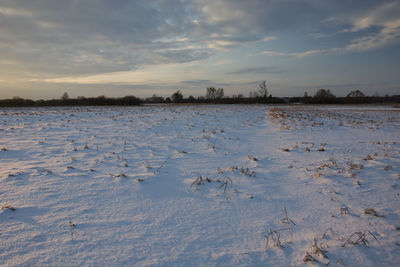 Snowy country field, evening winter view.