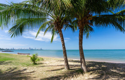 Palm trees on beach against sky