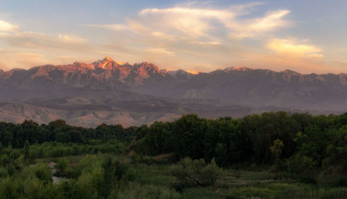 Scenic view of landscape against sky during sunset