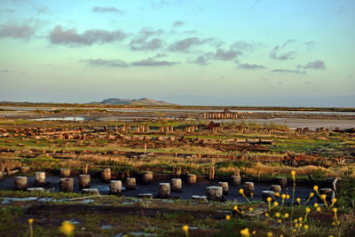 Scenic view of field against sky