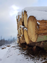 Wooden log on snow covered field against sky