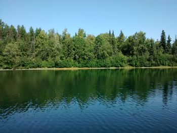 Scenic view of lake in forest against clear sky