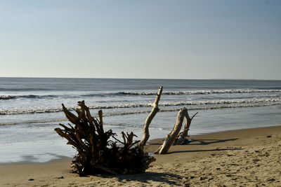 Scenic view of sea against clear sky