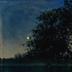 Low angle view of silhouette trees against sky at night