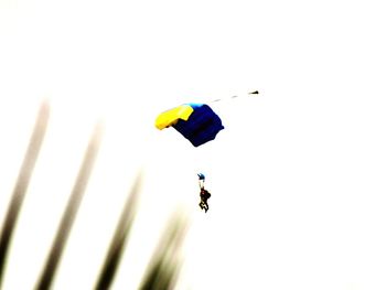 Low angle view of multi colored balloons