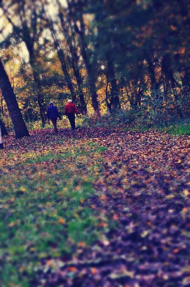 PEOPLE WALKING ON FOOTPATH DURING AUTUMN