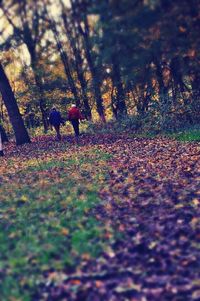 Rear view of people walking on footpath during autumn