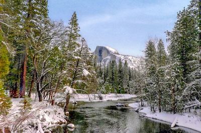 Scenic view of snow covered landscape