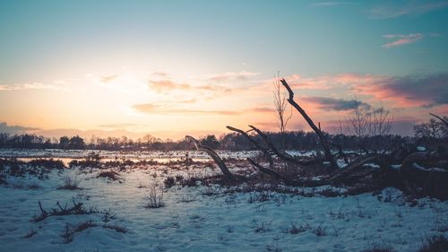 Scenic view of landscape against sky during winter