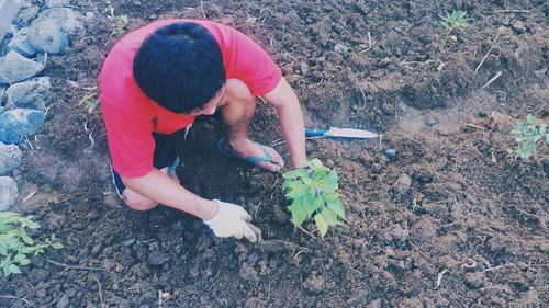 High angle view of boy on plants