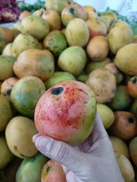 Close-up of hand holding apples at market