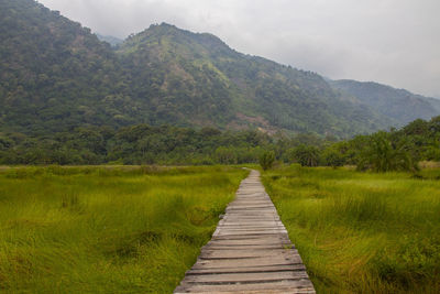 nature