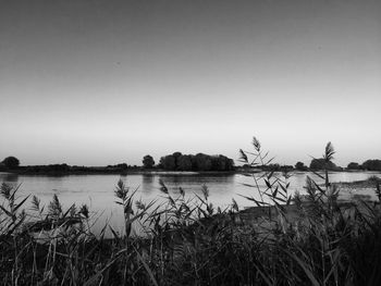 Scenic view of lake