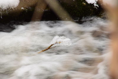 Close-up of water in winter