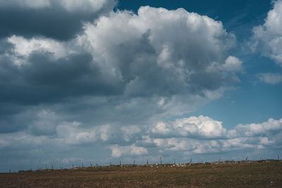 Low angle view of field against sky