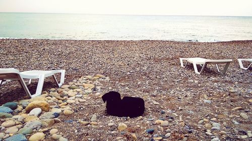 Chairs and pebbles on beach against sky