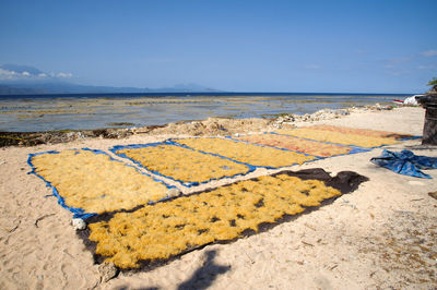 Scenic view of beach against blue sky