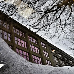 Low angle view of bare tree and building against sky