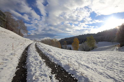 Panoramic view of trees against sky