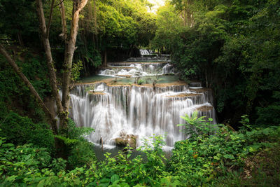 Scenic view of waterfall in forest