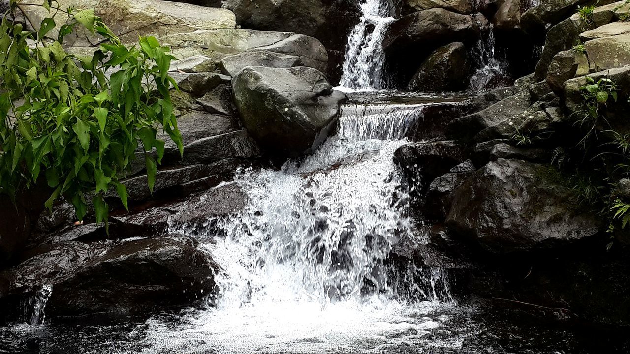 water, flowing water, waterfall, rock - object, motion, flowing, nature, stream, plant, beauty in nature, rock formation, rock, waterfront, river, long exposure, day, scenics, forest, growth, outdoors