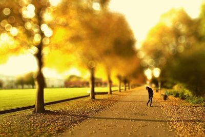 People walking on road