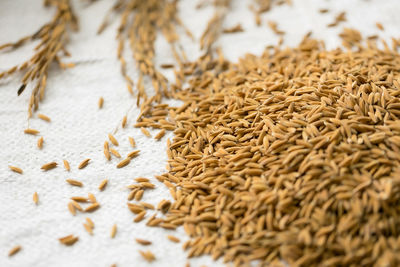 Close-up of wheat on table