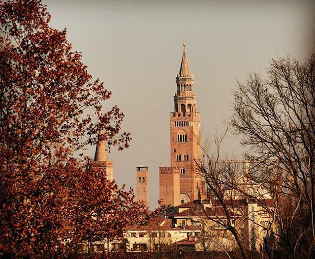 building exterior, architecture, built structure, tree, tower, clear sky, place of worship, low angle view, religion, church, city, spirituality, bare tree, branch, tall - high, steeple, spire, sky