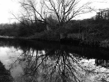 Reflection of trees in lake against sky