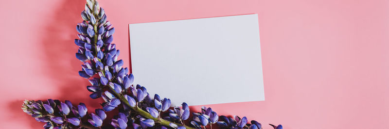 Group of people on pink flowering plant