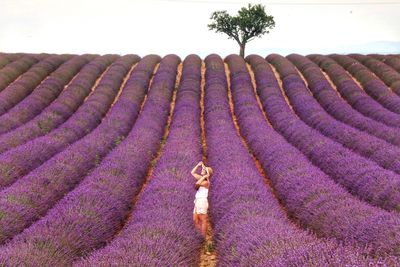 Full frame shot of lavender on field against sky
