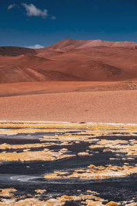 Scenic view of desert against sky