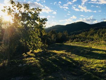 Scenic view of landscape against sky