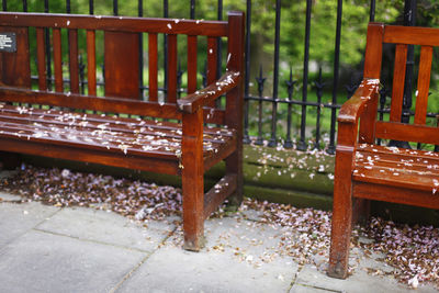 Close-up of tree stump