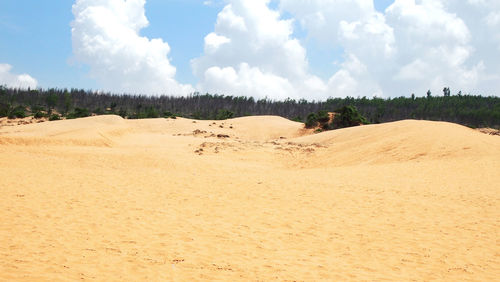 Panoramic view of sand dunes against sky