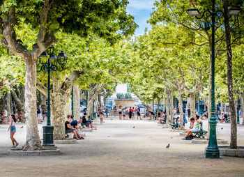 Group of people in the park