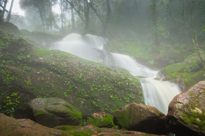 Scenic view of waterfall in forest