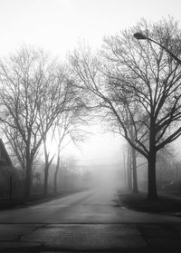 Road amidst bare trees in city against sky