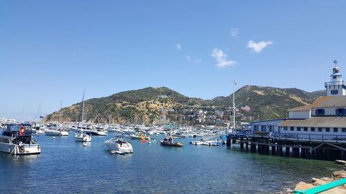 Sailboats moored in sea by city against sky