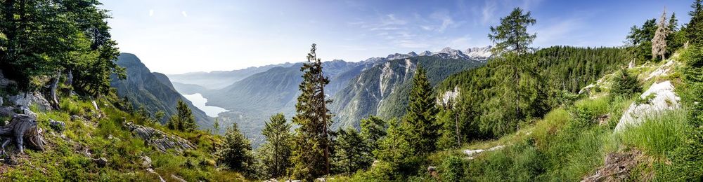 Panoramic view of plants and mountains against sky