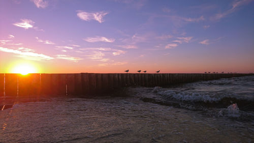 Scenic view of sea against sky during sunset seagulls