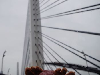 Low angle view of bridge against sky