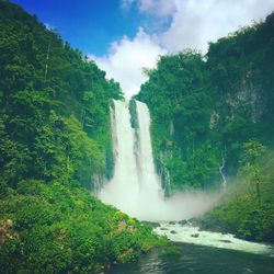 View of waterfall along lush foliage