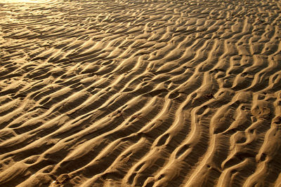 Full frame shot of sandy beach